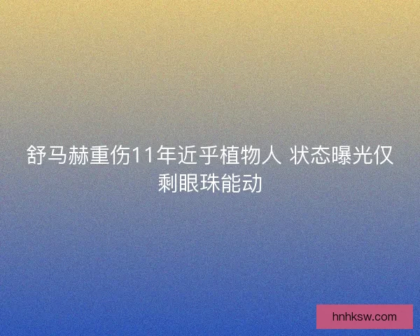 舒马赫重伤11年近乎植物人 状态曝光仅剩眼珠能动